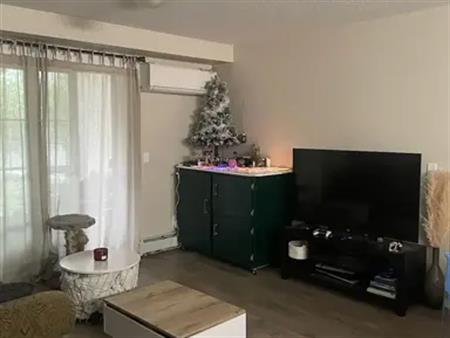 Main Floor 2 bed 2 bath condo | 1102 - 279 Copperpond Common South East, Calgary