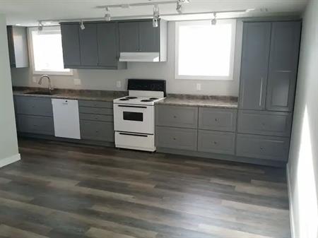Renovated 2 Bedroom Lower in Windsor Park | Calgary