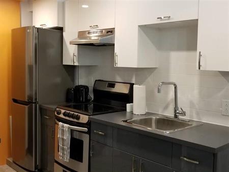 GHETTO MCGILL- APPARTEMENT ENTIEREMENT RÉNOVÉ 2025- 1 CH FERMÉE