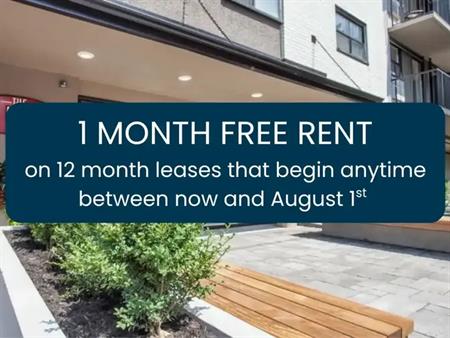 335 MacLaren St. | 335 MacLaren Street, Ottawa