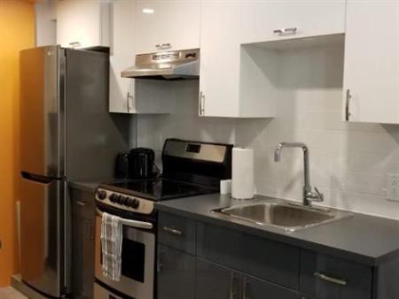 GHETTO MCGILL- APPARTEMENT ENTIEREMENT RÉNOVÉ 2025- 1 CH FERMÉE