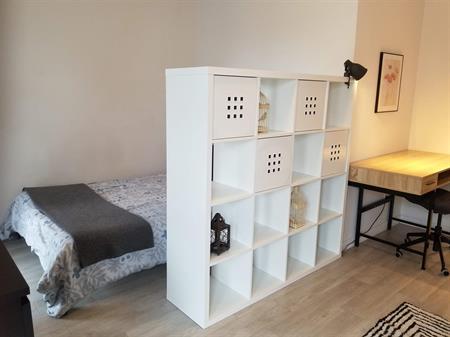 Studio - Montréal - $1,230 /mo