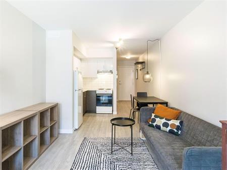 Studio - Montréal - $1,545 /mo