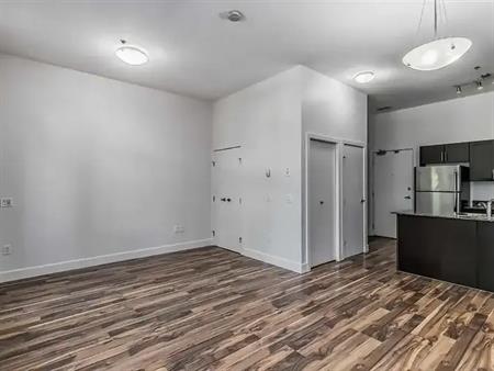 Bright big studio/loft condo | Calgary