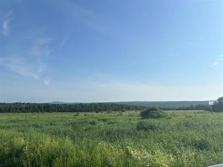 Estrie (Lingwick), terre nue sans bâtiment 125,3 acres, directement sur la rte 108, accès facile, beaucoup de possibilités po
