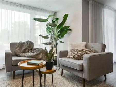 235-245 Cuvillier Street | 235 Cuvillier Street West, Longueuil