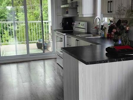 4 1/2 moderne à louer – Brownsburg-Chatham