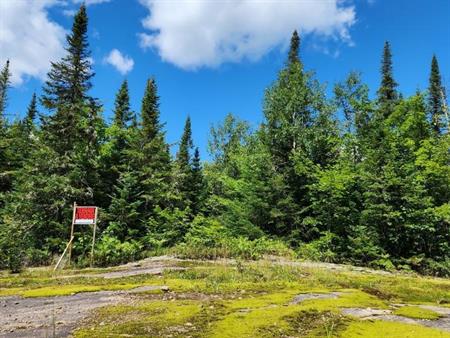 Grand terrain à vendre en montagne - Votre havre de paix en nature à 1h30 de Montréal, à St-Damien, dans Lanaudière