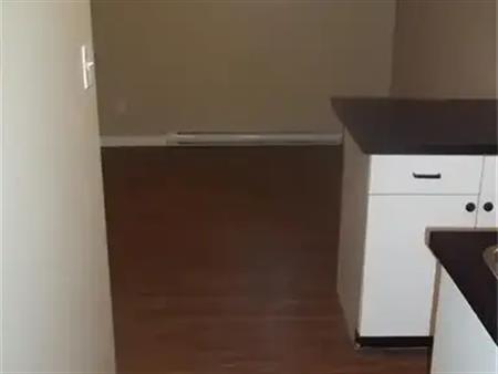 56 LILAC Street Unit# 1B | 56 LILAC Street Unit# 1B, Kitchener