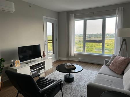 Condo 4 1/2 luxueux à louer