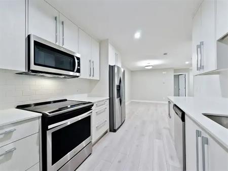 Exceptional Legal Lower Unit | 37 Red Embers Place Northeast, Calgary