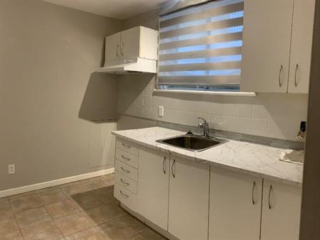 3 1/2 demi sous-sol de résidence privée