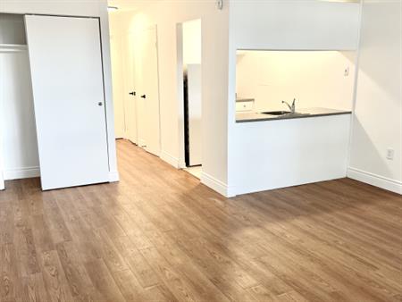 Studio Proche De L'Université Laval