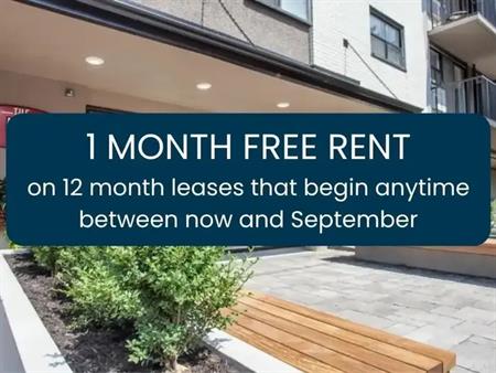 335 MacLaren St. | 335 MacLaren Street, Ottawa