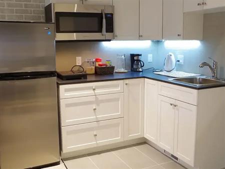 Short Term - Walkout studio suite - All Utilities Included | Calgary