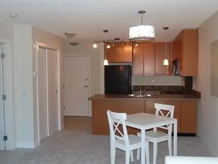Great one bedroom with parking and storage | 35 Richard Ct, Calgary