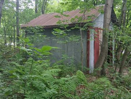 Petite terre a bois a vendre (érablière)