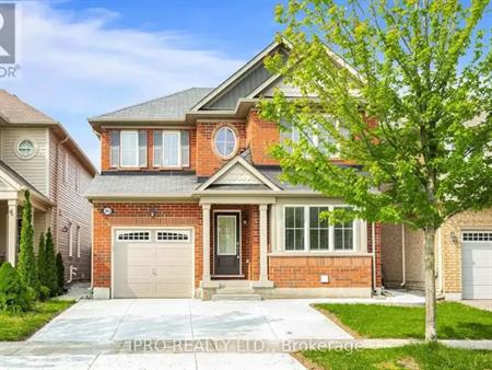 BASEMENT - 261 GLEAVE TERRACE | BASEMENT - 261 GLEAVE TERRACE, Milton