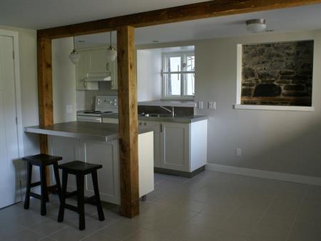 Rez-de-Jardin, demi sous-sol 3 1/2 sur Plateau Mont-Royal