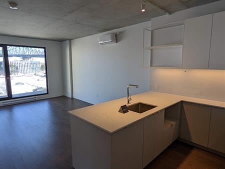 Magnifique Condo 3 ½ Métro Papineau