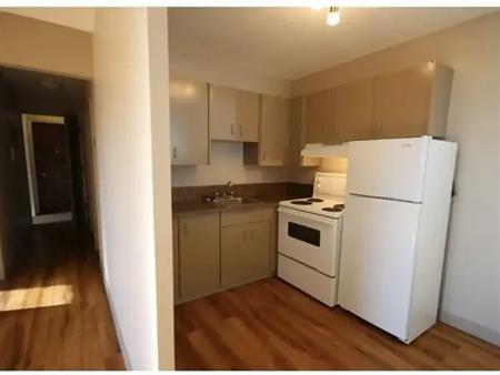 Beautiful 1 Bed in Crescent Height | Calgary