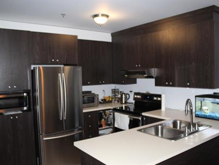Beau Grand 4 1/2 Secteur Cartierville