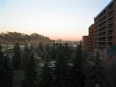 Eau Claire, Executive Furnish Condo | 205 Riverfront Ave SW, Calgary