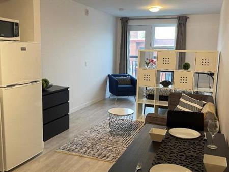 Studio - Montréal - $1,195 /mo