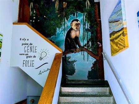 Magnifique Loft a loue 15 pieds de plafond