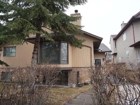 Newly Renovated, Spacious ,Cozy, Two Bedroom/one bathroom  for Rent | 430 12ave NE, Calgary