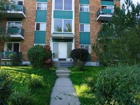 Cozy, Specious Two Bedroom & one bathroom apartment for rent in Bridgeland. | 810 Drury Ave NE, Calgary