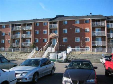 105-566 Armstrong Road - Lower Level 2 Bedroom | 566 Armstrong Road, Kingston