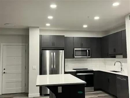Cozy 2 bedrooms 2 bathrooms apartment | Calgary
