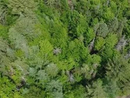 terrain a Rawdon