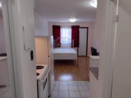 1 1/2 - Montréal (Le Plateau Mont-Royal) - 1 250 $/mois