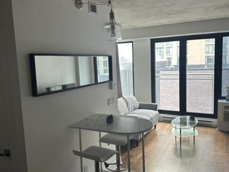 1000 rue Ottawa condo meuble a louer