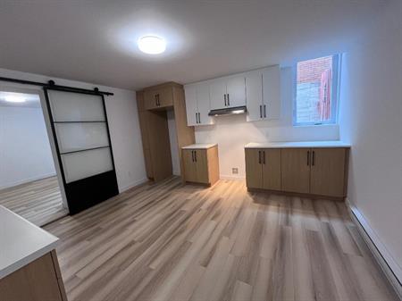 Appartement 3 1/2 spacieux, rénové et lumineux dans Villeray/St-Michel