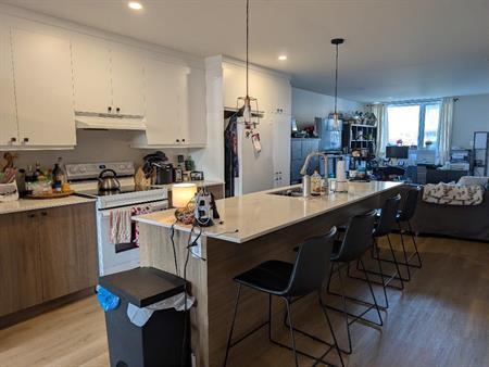 Logement 3 chambres, 2 salles de bain à St-Hyacinthe 1er octobre