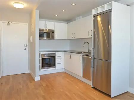 230 Oak Street | 230 Oak Street, Toronto