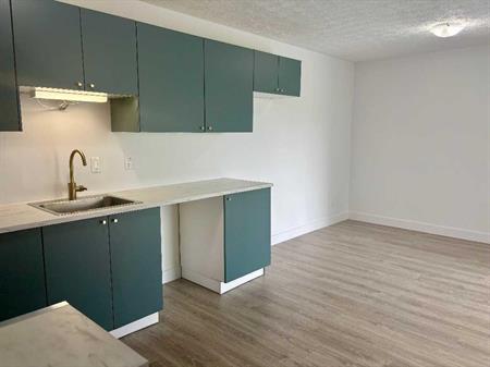 Appartement 4 ½ à louer – Disponible dès maintenant