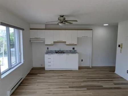 Beau 3.5 rénové à louer Granby