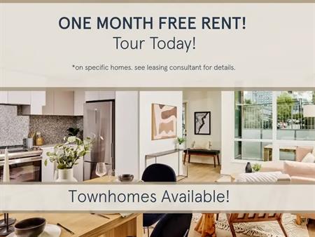 Comma King George | 9651 136A Street, Surrey