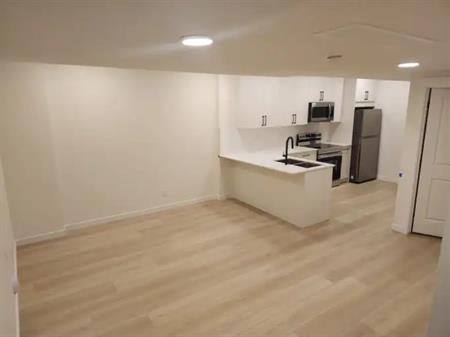 August Free! 1 Bed 1 Bath Basement for rent. | Edmonton