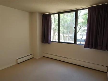 Large 2 Bedroom Condo Downtown | 202 - 9921 104 St NW, Edmonton