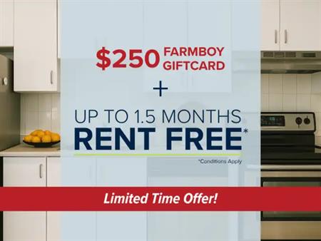 47 & 49 Somerset | 47 & 49 Somerset Street West, Ottawa