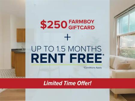 143 MacLaren | 143 MacLaren Street, Ottawa