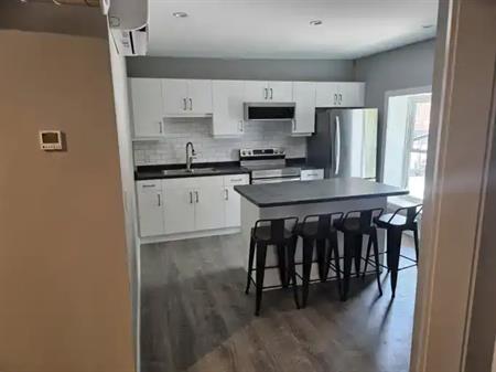 1 bedroom apartment downtown Orillia | 39 Mississaga Street West, Orillia