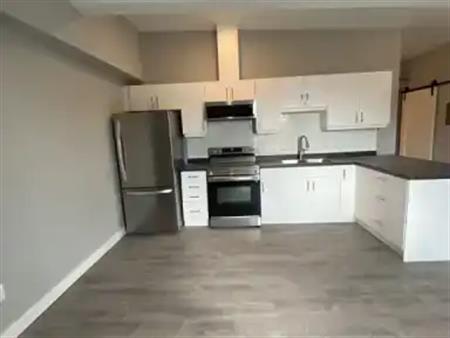 2 bedroom apartment downtown Orillia | 39 Mississaga Street West, Orillia
