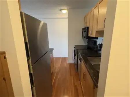 Bright, furnished, one bedroom Condo | 934 2 Avenue Northwest, Calgary