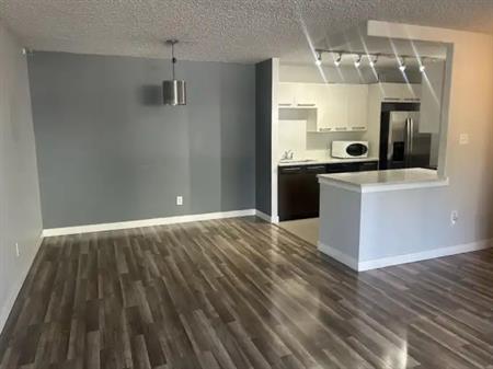 Spacious, renovated 2 bdm in great DT location. Parking and untilities included | 105 - 111 14 Avenue Southeast, Calgary